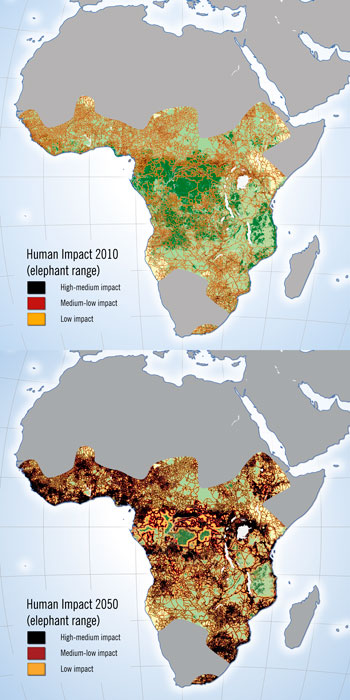 Africa elephant range and human impact, 2010 and scenario for 2050