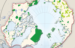 Thumbnail for graphic: Protected areas of the Arctic