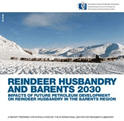 Reindeer husbandry and Barents 2030 - Impacts of future petroleum development on reindeer husbandry